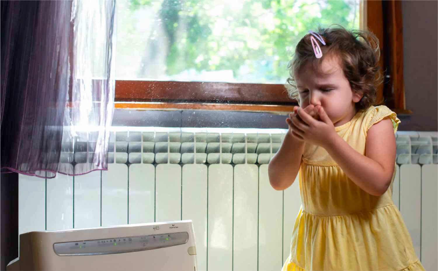 20 Ways to Reduce Indoor Air Pollution in Your Home