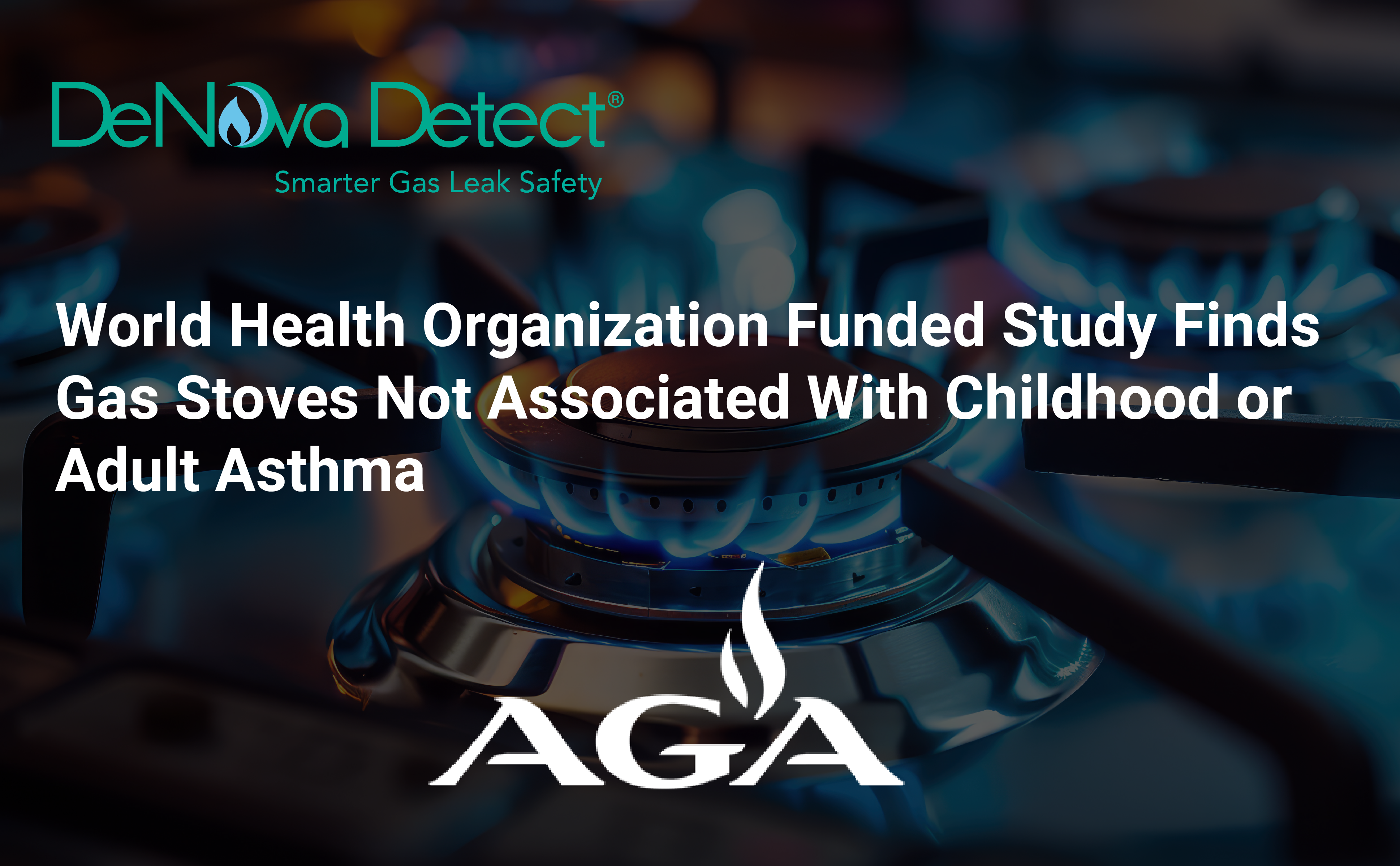 World Health Organization Funded Study Finds Gas Stoves Not Associated With Childhood or Adult Asthma