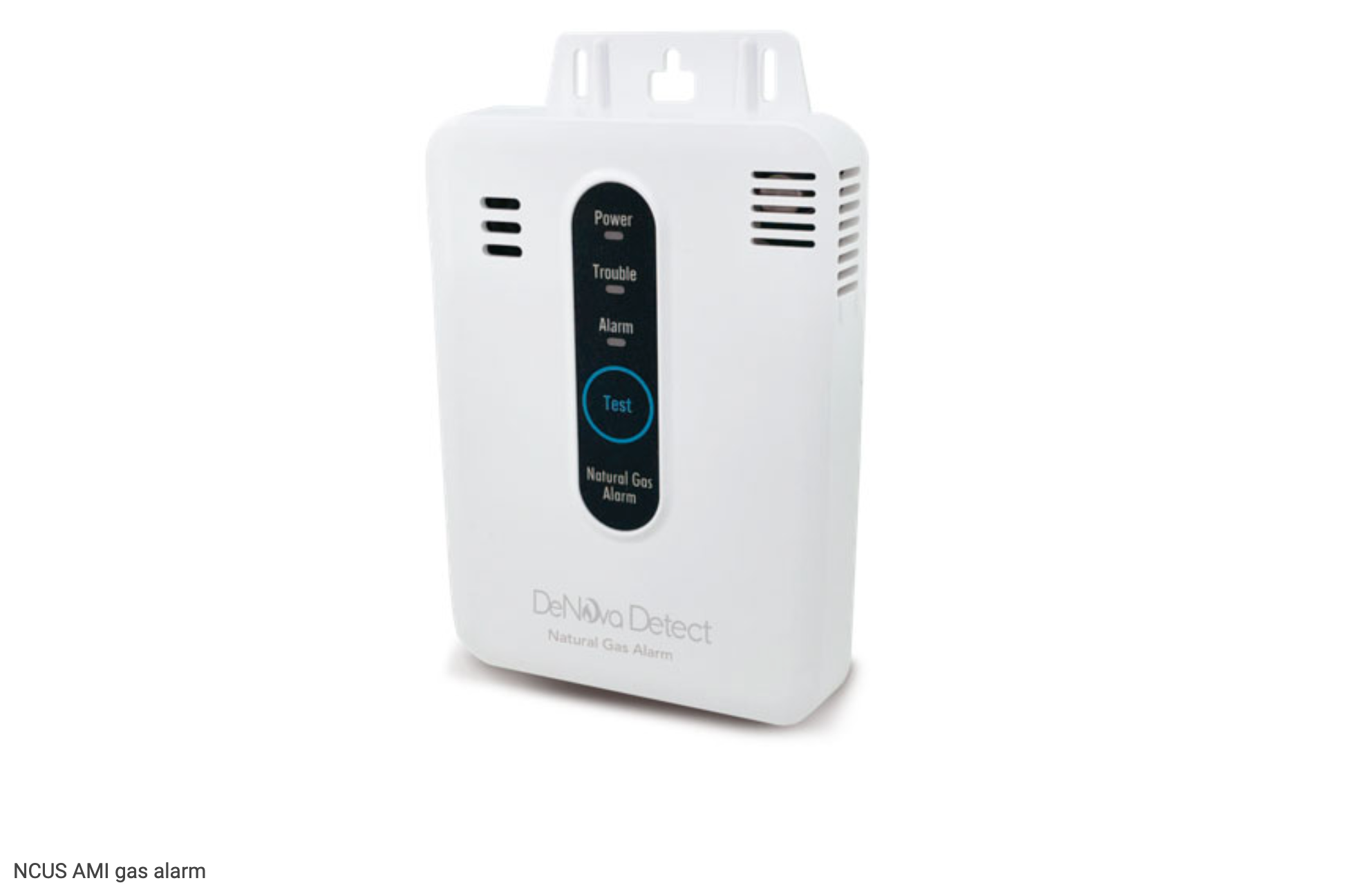 Trusted Leader in the Gas Alarm Industry