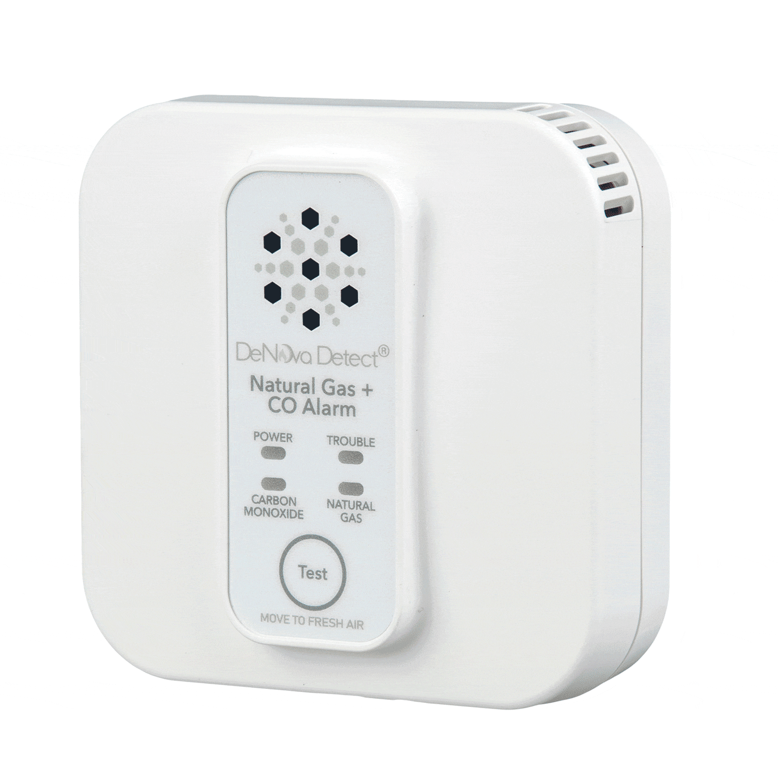 10-Year Battery-Powered Carbon Monoxide + Natural Gas Alarm