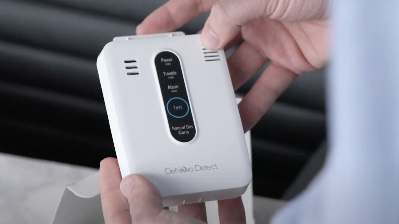 DeNova Detect Natural Gas Alarms: Early Detection and Early Warning