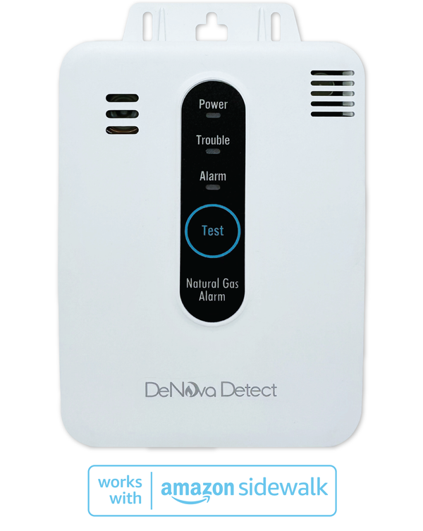 BatteryOperated Natural Gas Alarms for Home Safety DeNova Detect